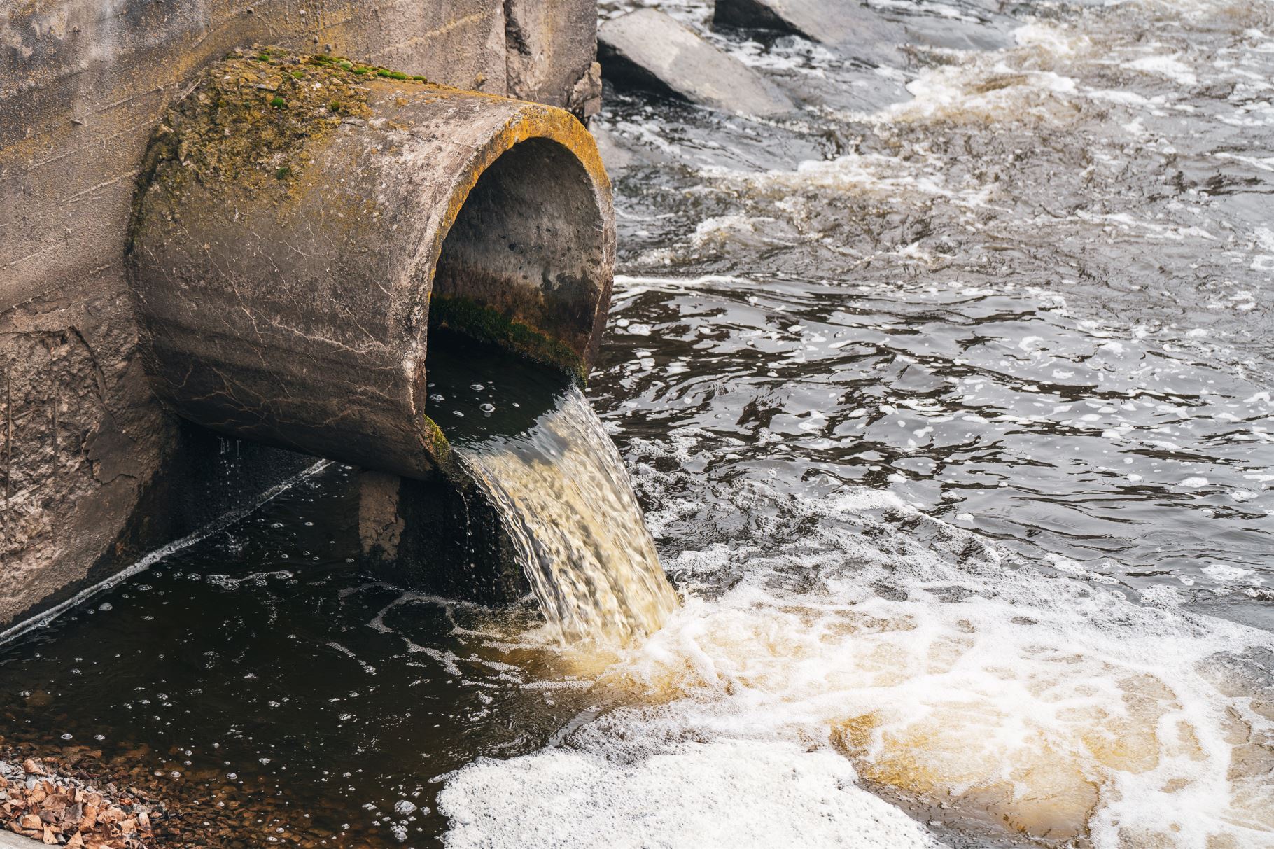 Los abortos químicos contaminan el suministro de agua de EE.UU.Publicado por Augustin Hamilton