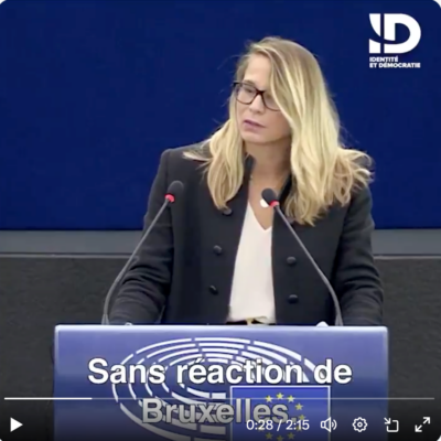 Parlamento Europeo – Discursos de la Diputada Europea francesa Virginie Joron