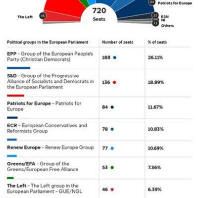 3 grupos parlamentarios patrióticos en el Parlamento Europeo