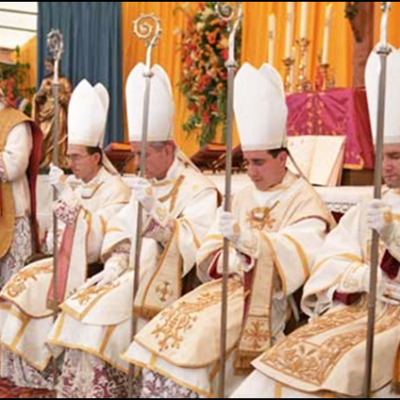 Respuesta a «Diez preguntas a los sacerdotes de la Fraternidad San Pío X», de Don Stefano Carusi y del Abate Louis-Numa Julien