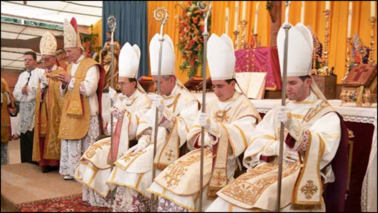 Respuesta a «Diez preguntas a los sacerdotes de la Fraternidad San Pío X», de Don Stefano Carusi y del Abate Louis-Numa Julien